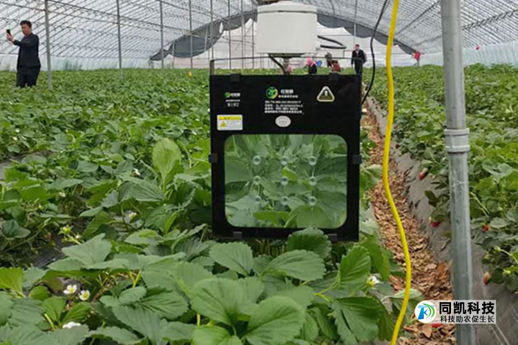 5ff58d6d2587d.jpg 03.jpg