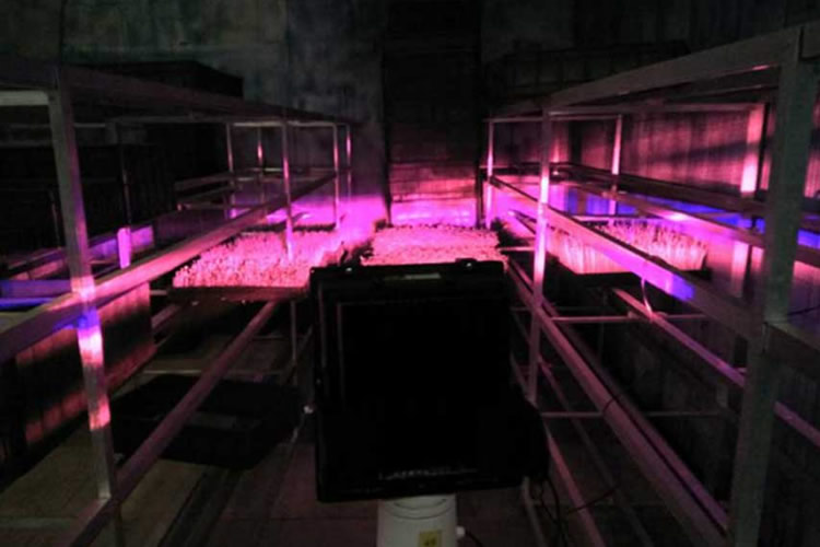 5ff58d8bde6c9.jpg 001.jpg