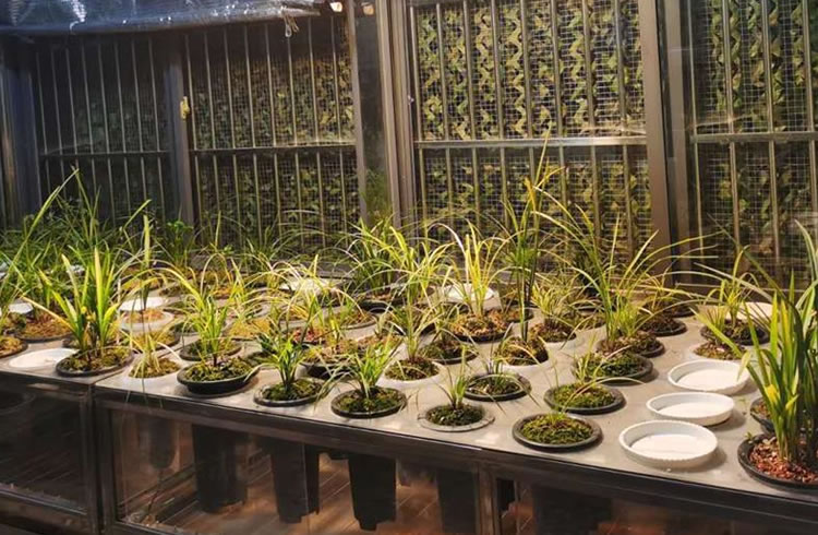 5ffbdd394867b.jpg 02.jpg